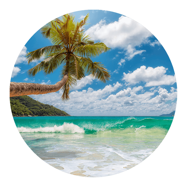 Vinilos Decorativos: Playa Caribeña 0