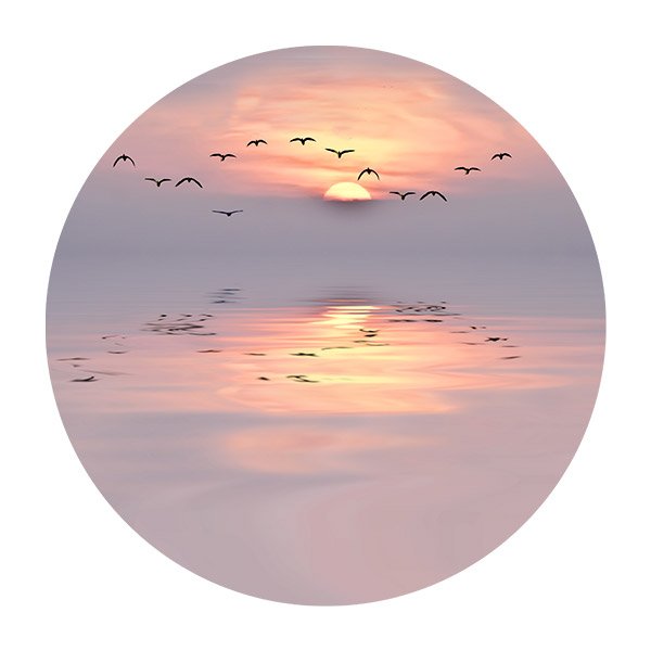 Vinilos Decorativos: Pájaros al Atardecer