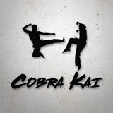 Pegatinas: El Dolor no Existe en este Dojo Cobra Kai 2