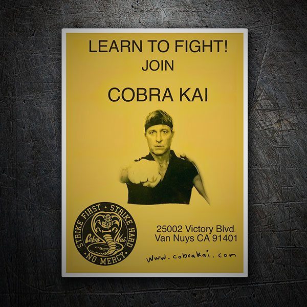 Pegatinas: Cobra Kai Learn to Fight! 1