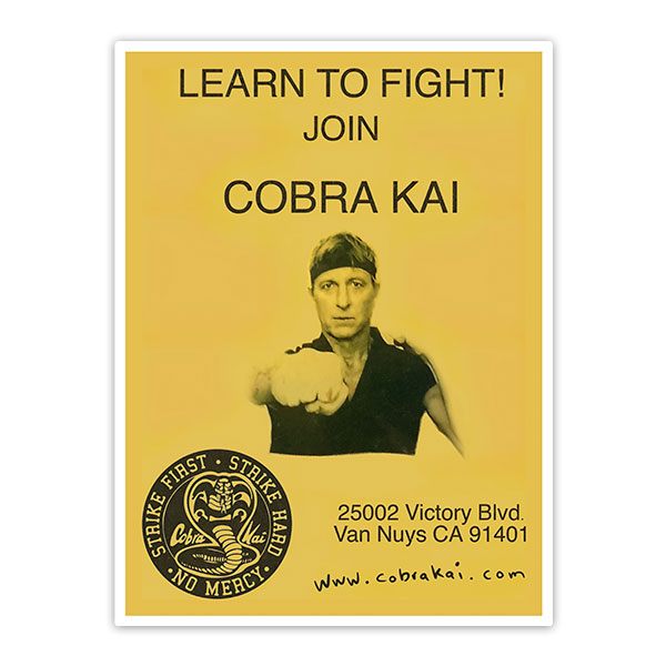 Pegatinas: Cobra Kai Learn to Fight!