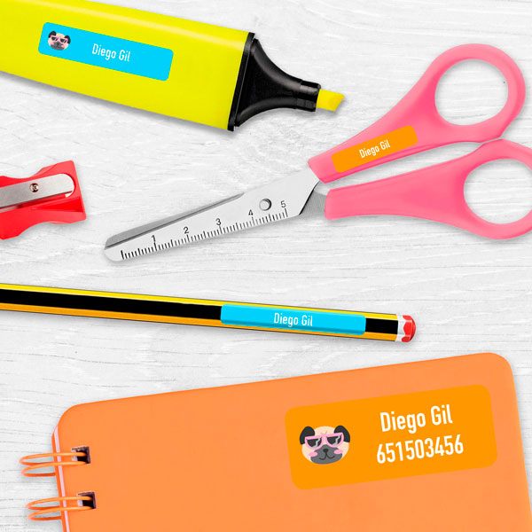 Pegatinas: Kit Etiquetas perro con gafas