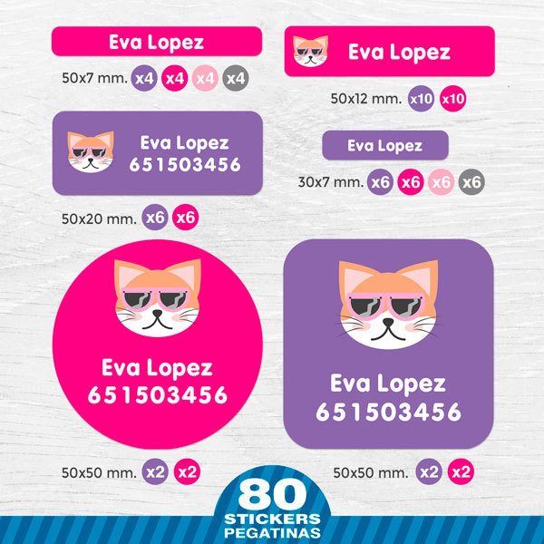 Pegatinas: Kit Etiquetas zorro con gafas