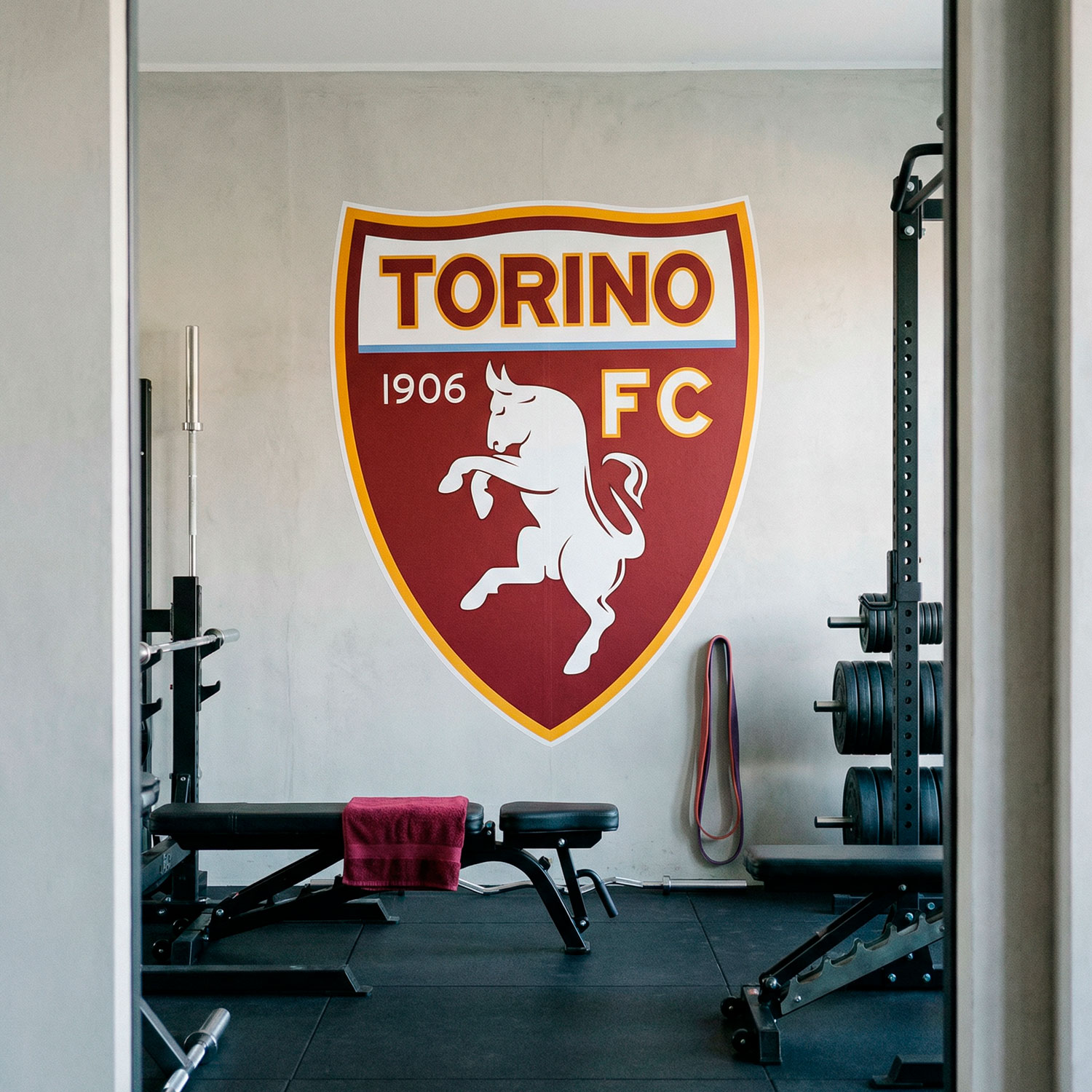 Vinilos Decorativos: Escudo Torino FC