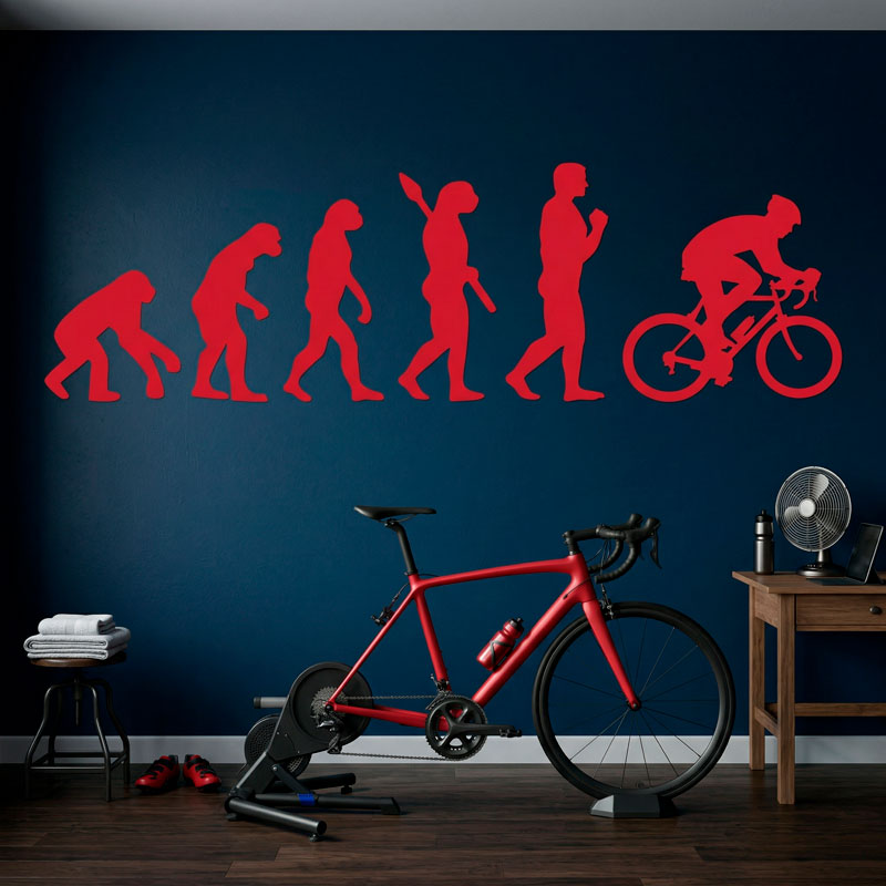 Evoluci&oacute;n ciclismo 12/12
