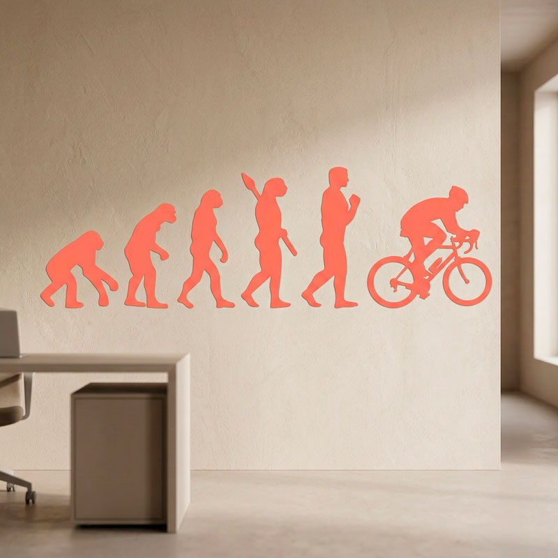 Evoluci&oacute;n ciclismo 6/12