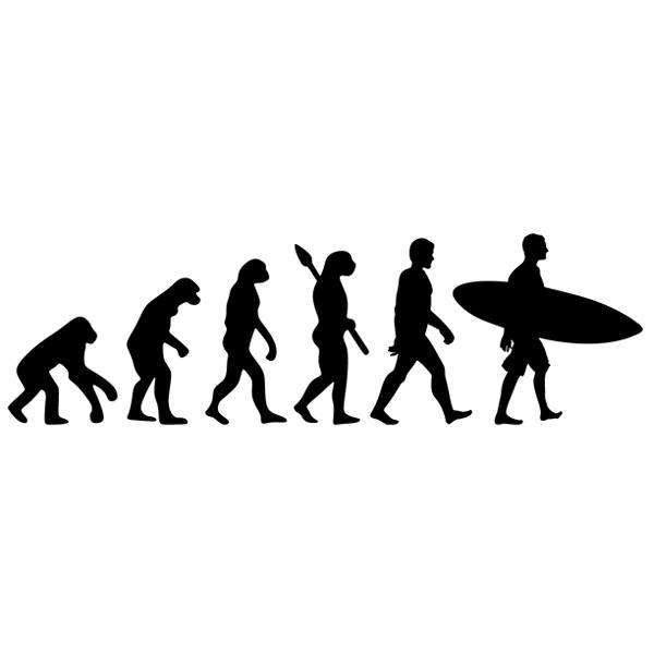 Vinilos Decorativos: Evolución Surf