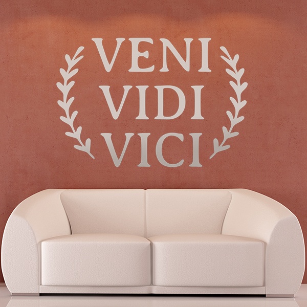 Vinilos Decorativos: Veni Vidi Vici