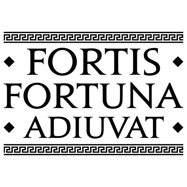 Vinilos Decorativos: Fortuna Latín