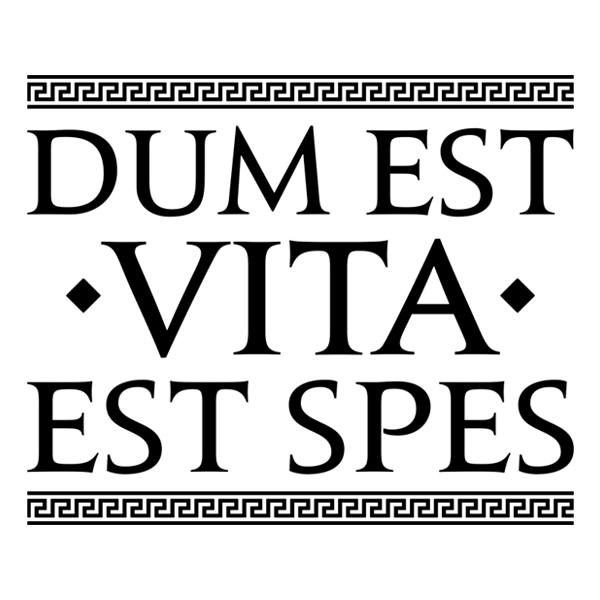 Vinilos Decorativos: Dum Est Vita Est Spes