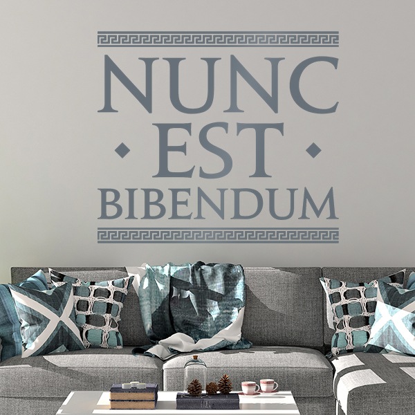 Vinilos Decorativos: Nunc Est Bibendum