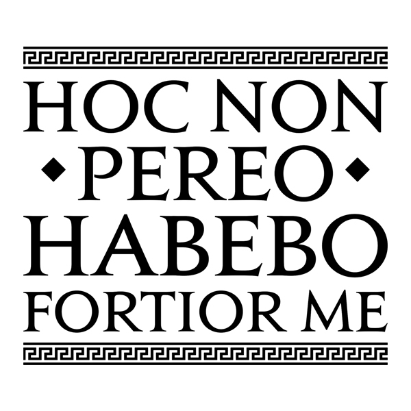Vinilos Decorativos: Hoc Non Pereo Habebo