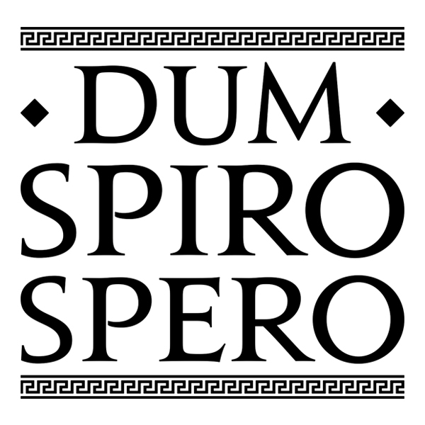 Vinilos Decorativos: Dum Spiro Spero