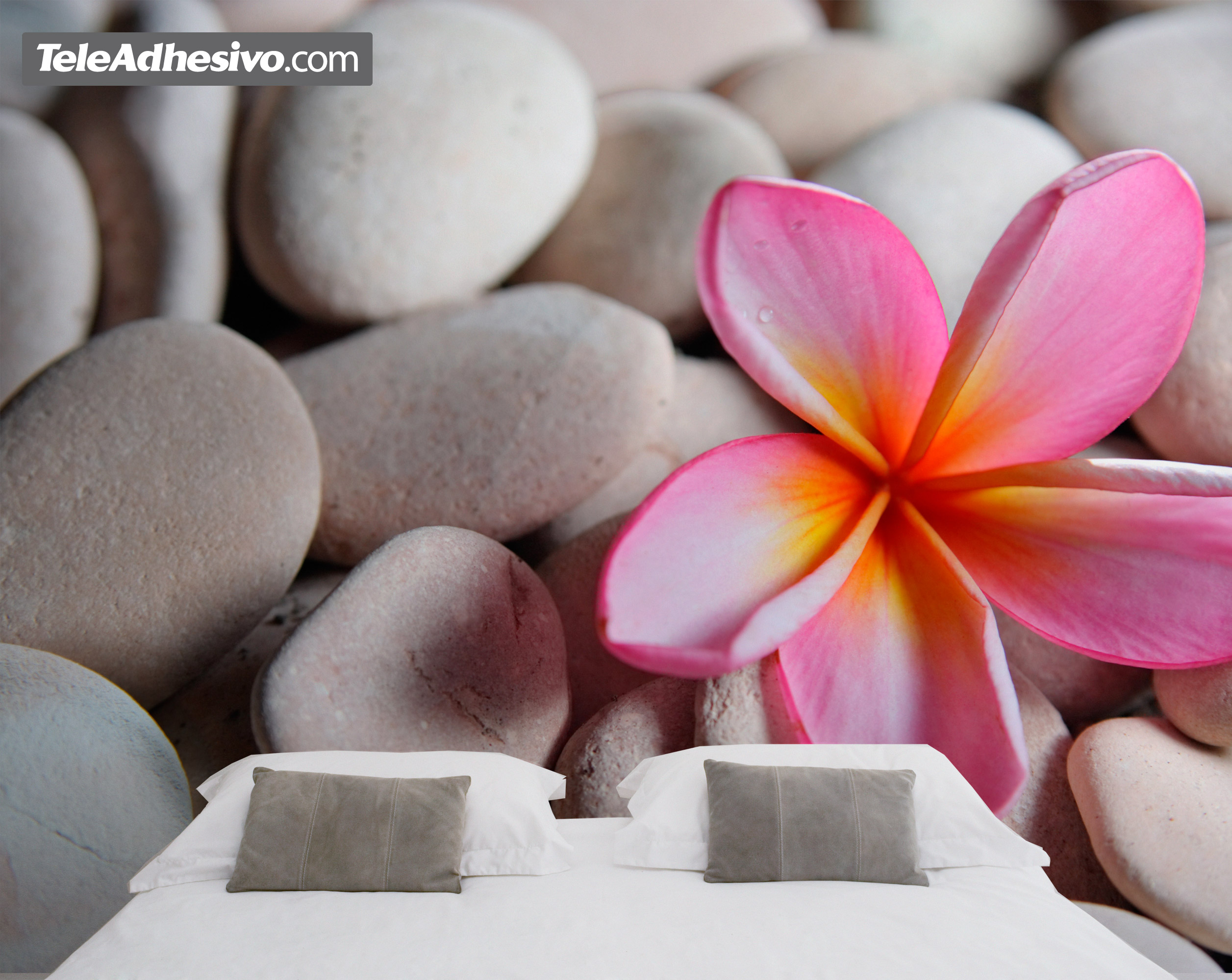 Fotomurales: Piedra Flor sobre Piedras Grises