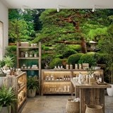 Fotomurales: Jard&iacute;n japon&eacute;s 8