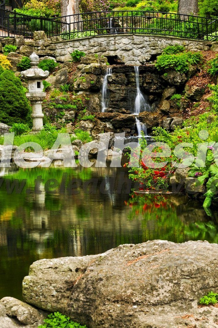 Fotomurales: Jardín imperial