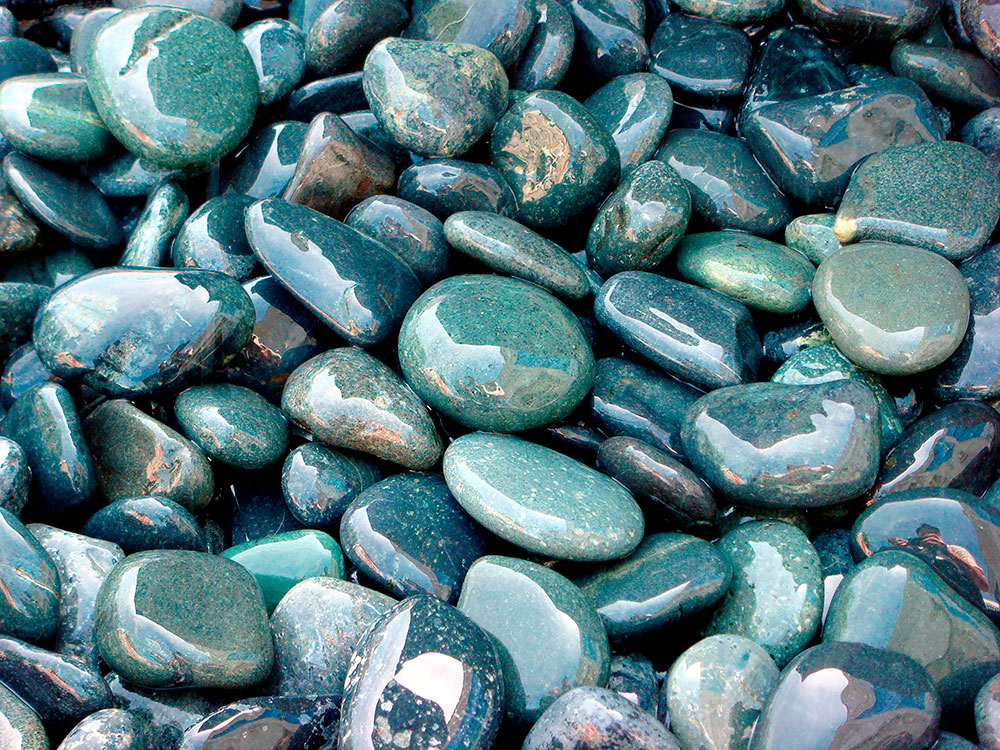 Fotomurales: Piedras mojadas del r&iacute;o