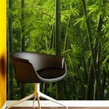 Fotomurales: Bambú 2