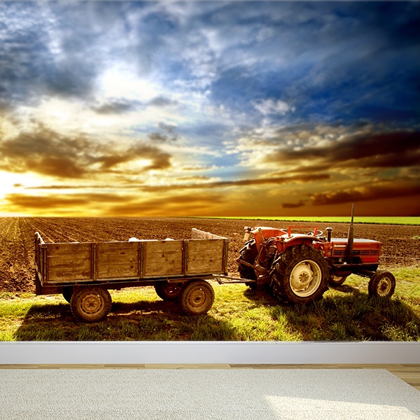 Fotomurales: Campo de cultivo  0