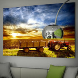 Fotomurales: Campo de cultivo 