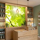 Fotomurales: Hojas 17