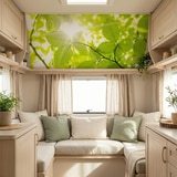 Fotomurales: Hojas 6