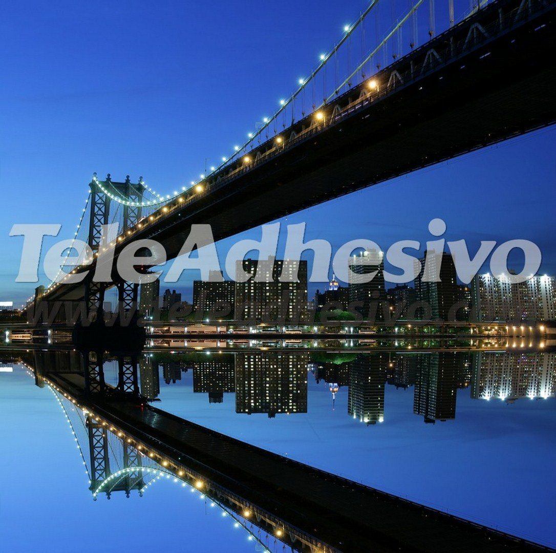 Fotomurales: Puente de Manhattan