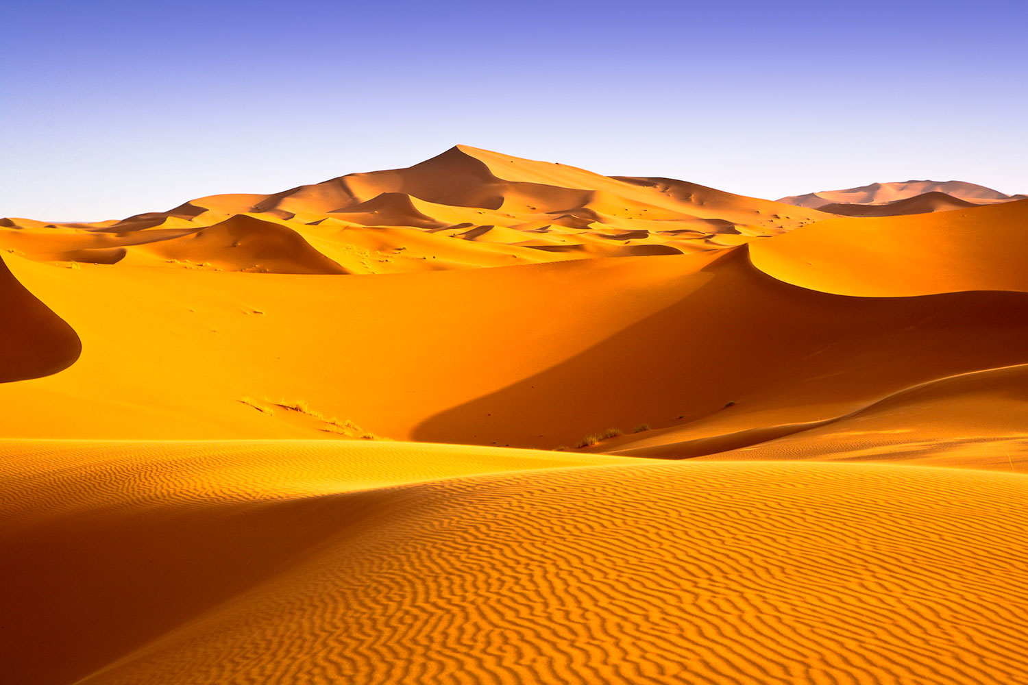 Fotomurales: Desierto del Sahara