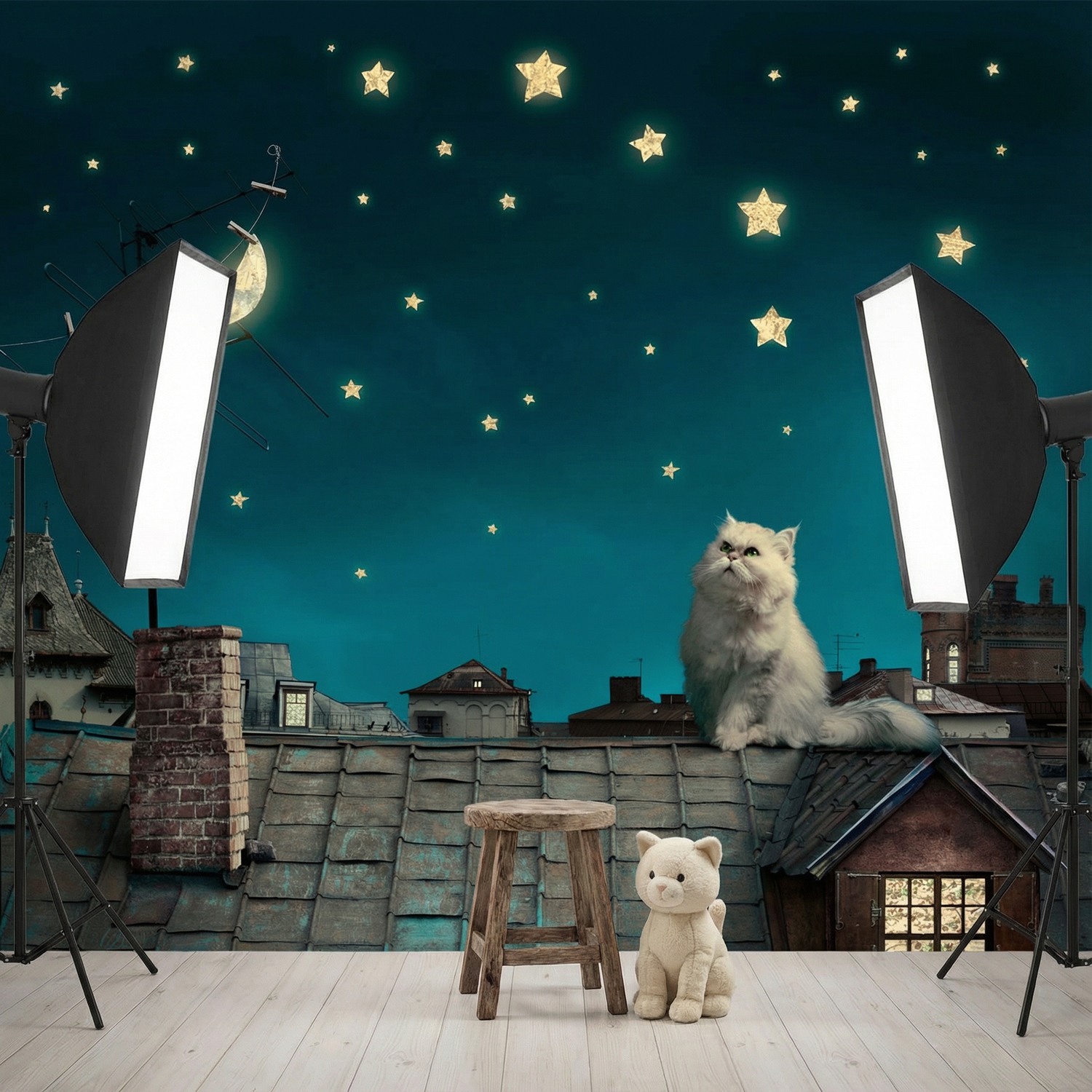 Fotomurales: Gato en el tejado