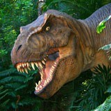 Fotomurales: Tiranosaurio Rex 3