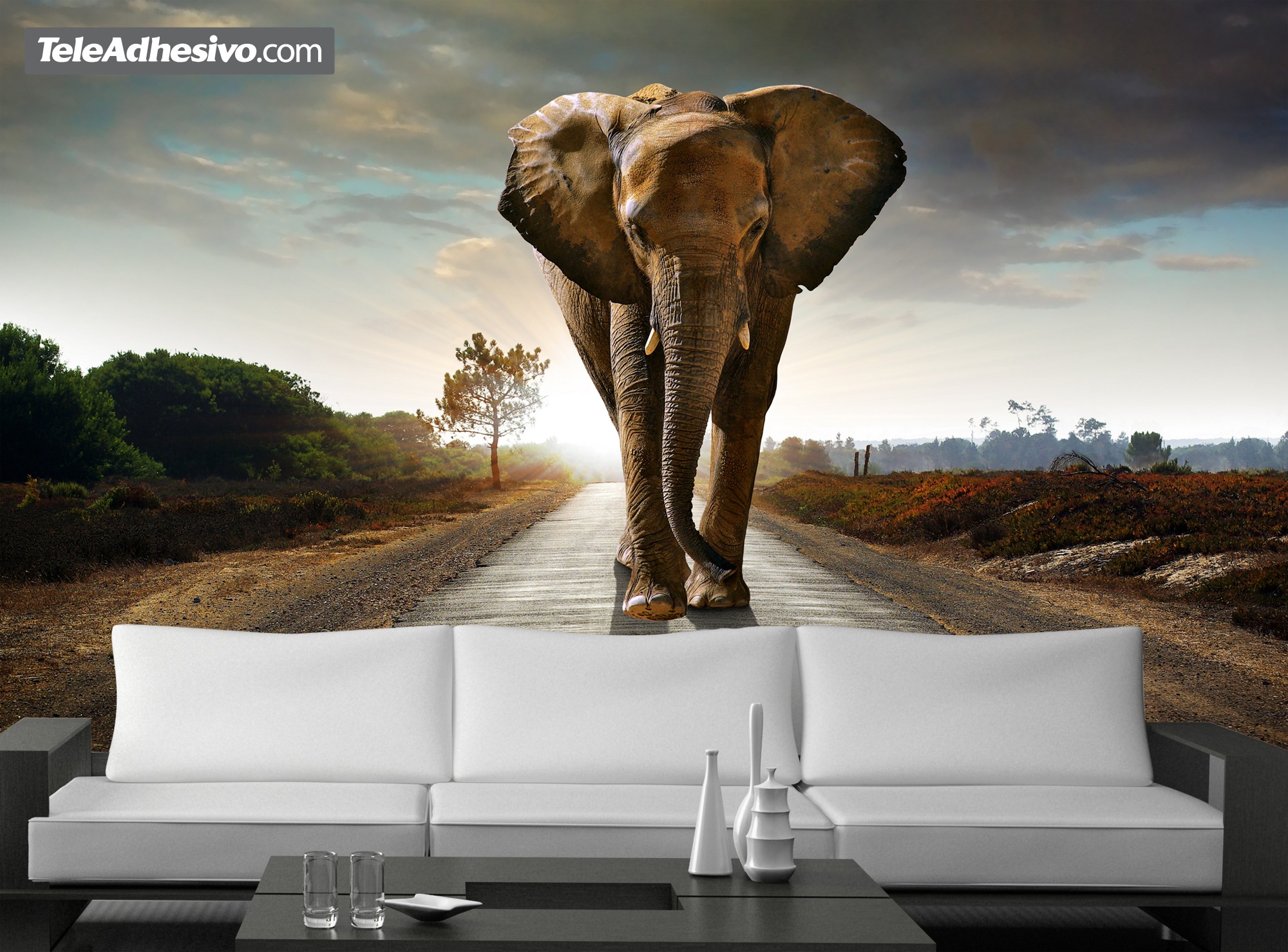 Fotomurales: Elefante