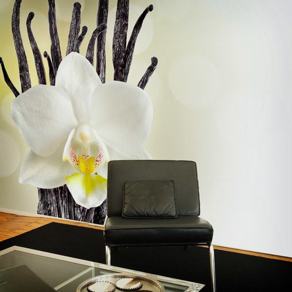 Fotomurales: Orquídea blanca 0
