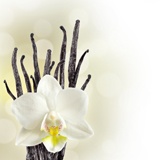 Fotomurales: Orquídea blanca 2