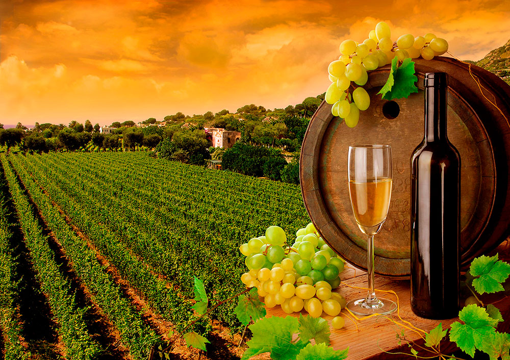 Fotomurales: Vi&ntilde;as y botellas