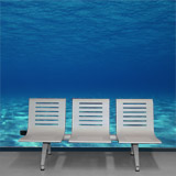 Fotomurales: Profundidades marinas  4