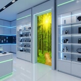 Fotomurales: Atardecer en el bosque 18