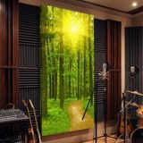 Fotomurales: Atardecer en el bosque 9