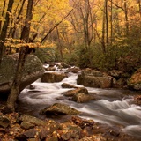 Fotomurales: Río del bosque otoñal 2