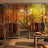 Fotomurales: Camino por el parque oto&ntilde;al 11