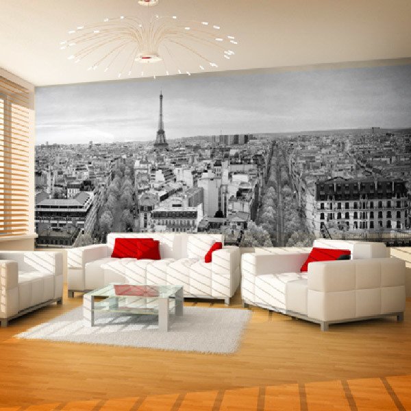 Fotomurales: Panorámica de París en blanco y negro 0