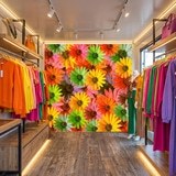 Fotomurales: Flores Pop 14