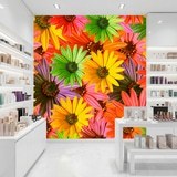Fotomurales: Flores Pop 21