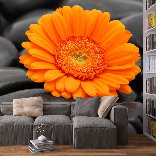 Fotomurales: Gerbera Naranja 0