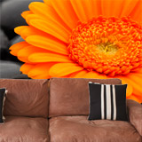 Fotomurales: Gerbera Naranja 5