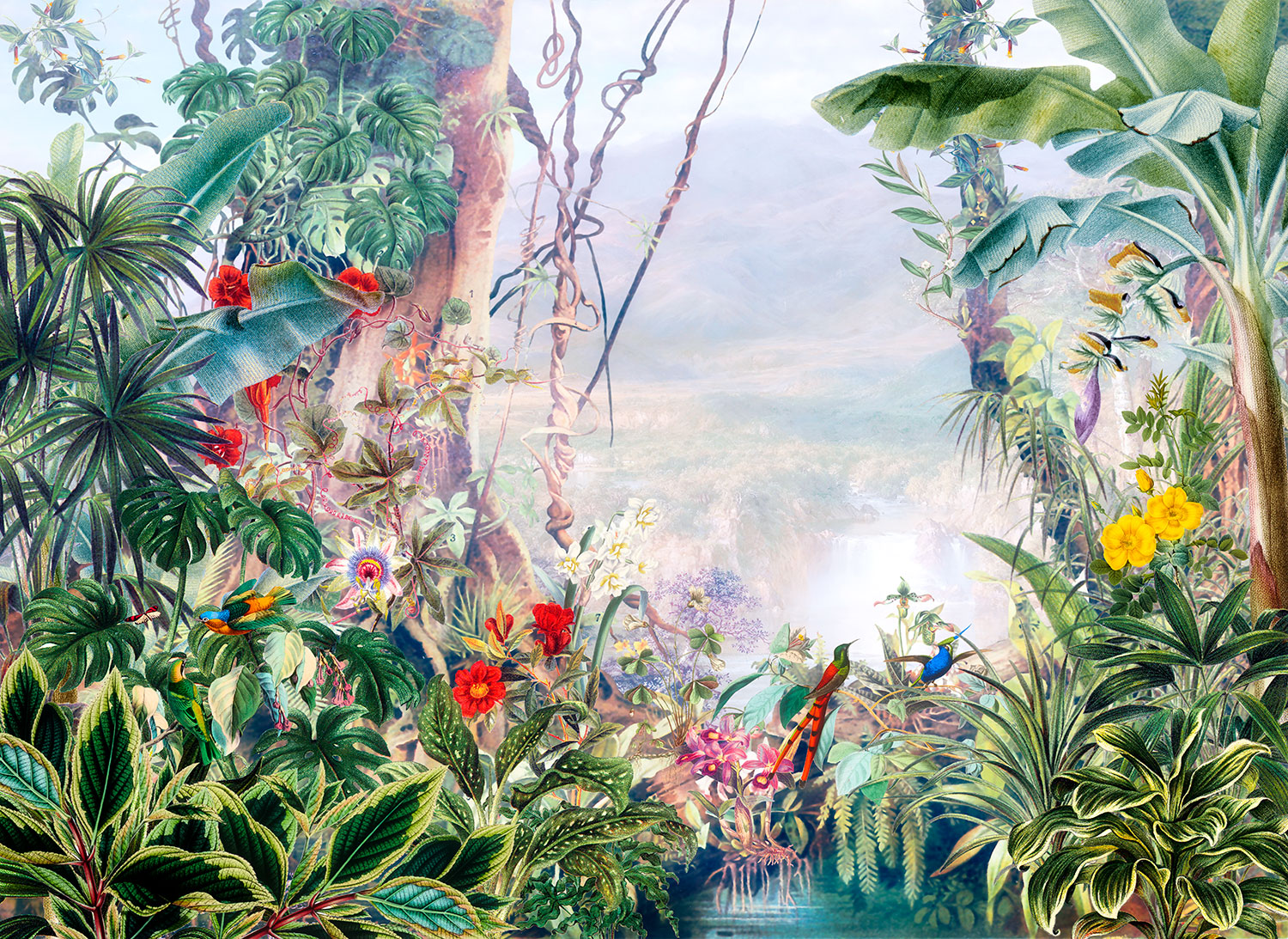 Fotomurales: Selva tropical