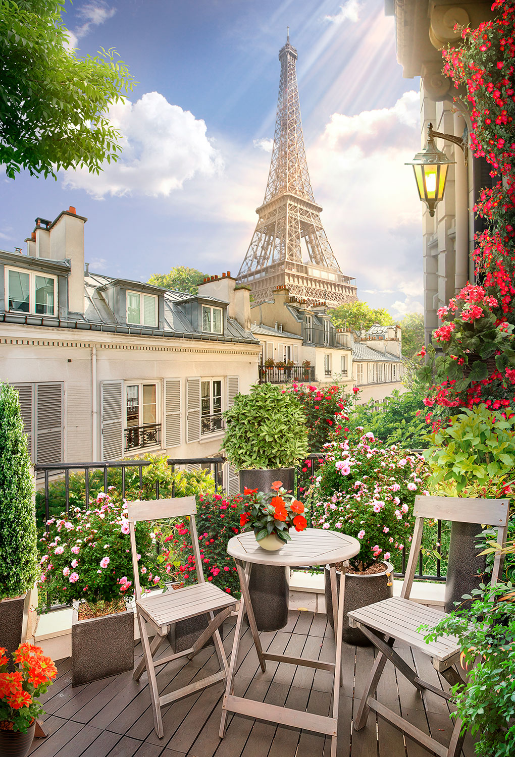 Fotomurales: Terraza frente la torre Eiffel