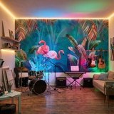 Fotomurales: Flamencos Sobre Fondo Turquesa 3
