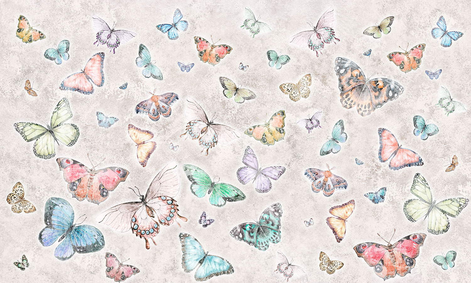 Fotomurales: Collage de Mariposas