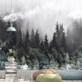 Fotomurales: Árboles entre la Niebla 2