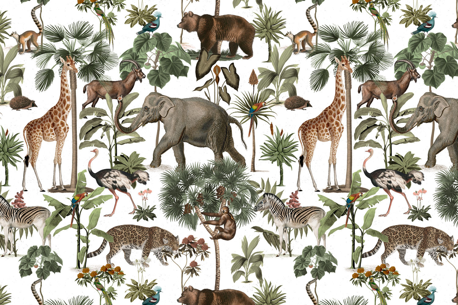 Fotomurales: Collage Animales